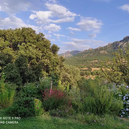 Asara Διαμέρισμα Padru