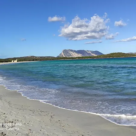 Asara Διαμέρισμα *