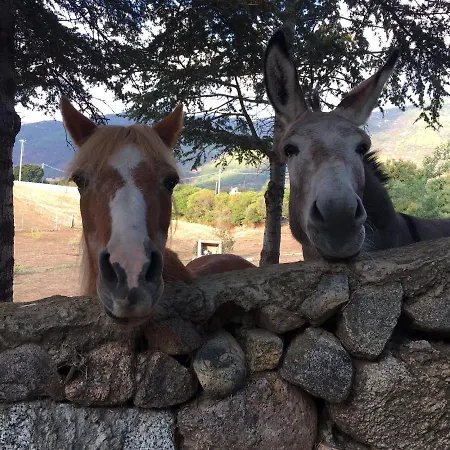 Asara Διαμέρισμα