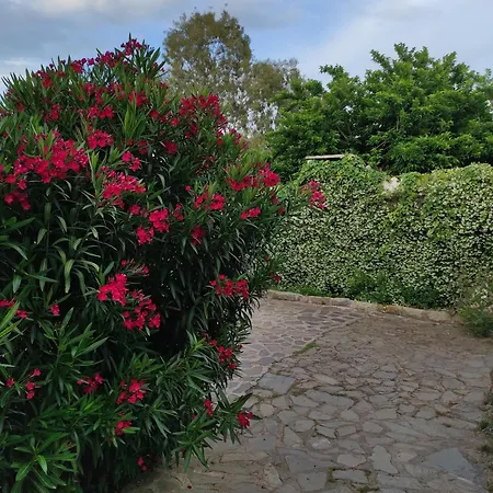 Διαμέρισμα Asara *