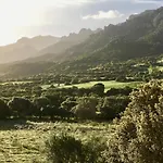 Asara