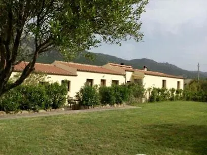 Asara