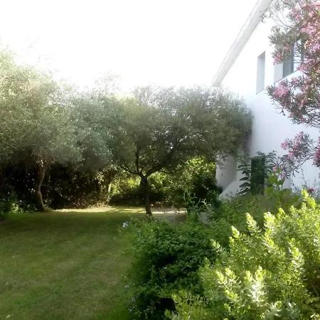 Apartment Asara