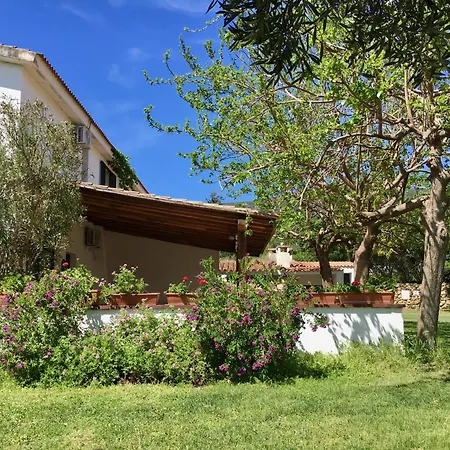 Apartment Asara